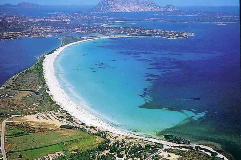 Villa Molly San Teodoro  Dış mekan fotoğraf