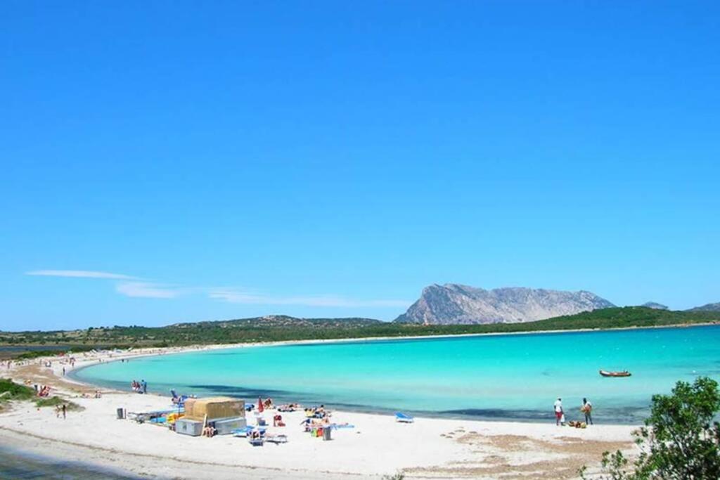 Villa Molly San Teodoro  Dış mekan fotoğraf
